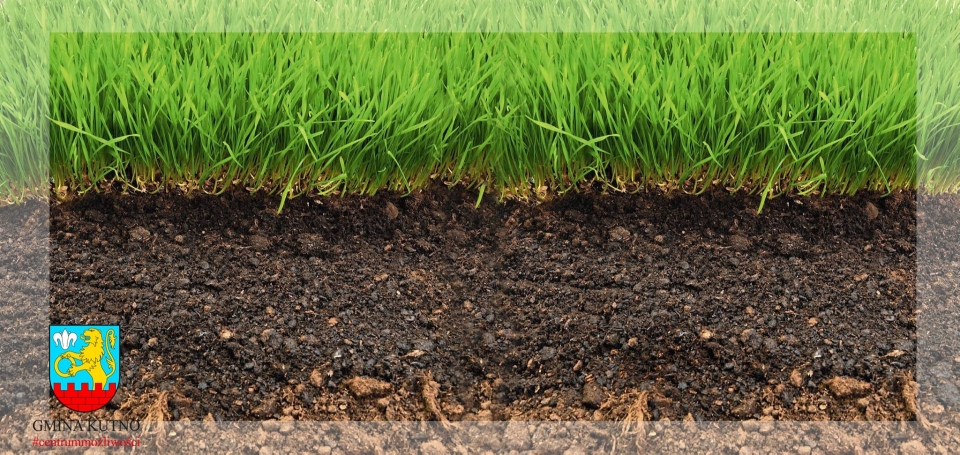 Ogólnopolski program regeneracji środowiskowej gleb
