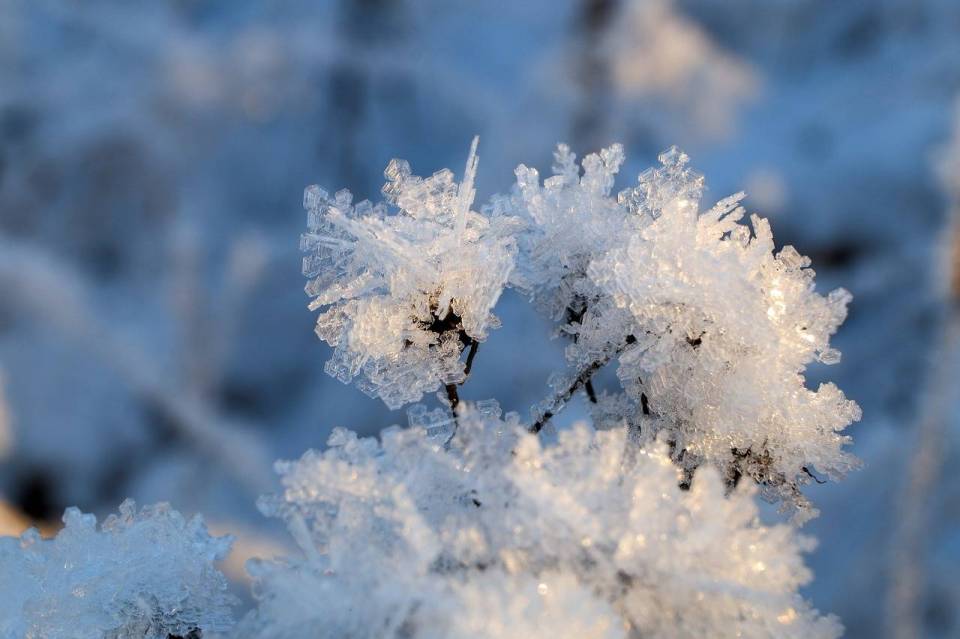 frost-7604741_1280