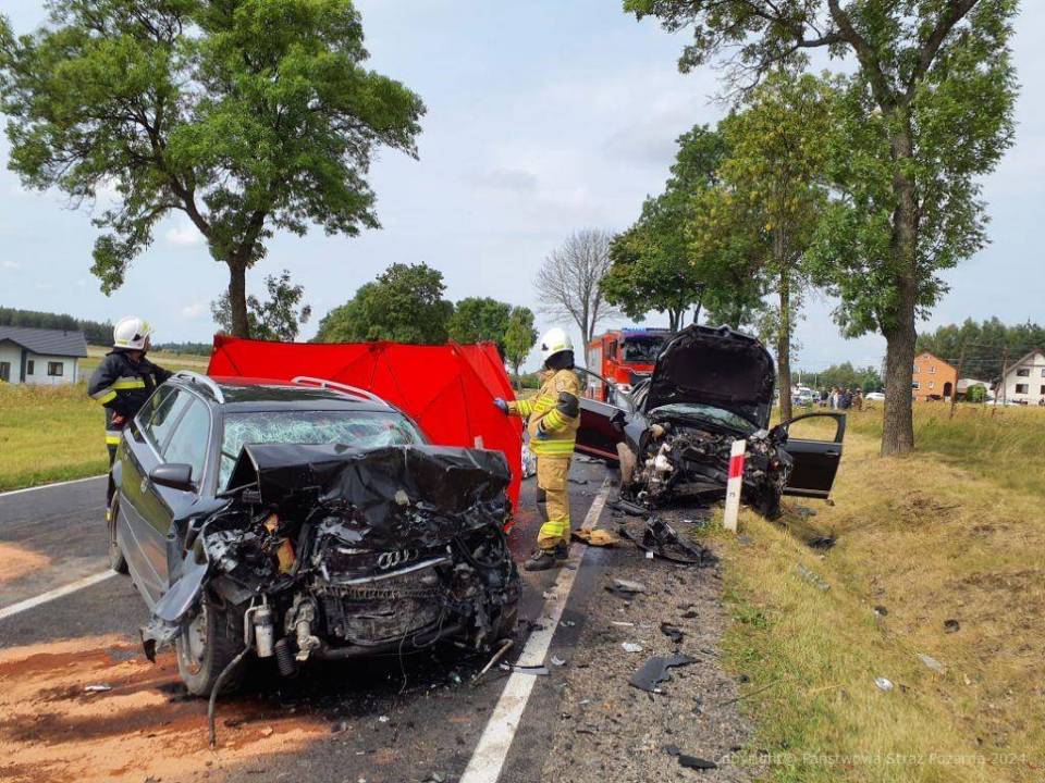 Koszmar na DK 42. Nie żyją dwie osoby, cztery są ranne, w tym dwójka dzieci [Foto]