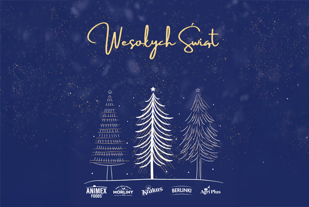 Boże Narodzenie 2025 - Animex